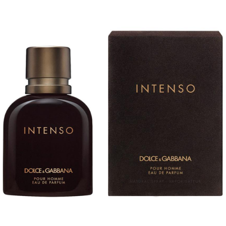 Perfume Dolce & Gabbana Intenso Eau de Parfum Masculino 125ML