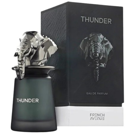 Perfume French Avenue Thunder Eau de Parfum Masculino 100ML
